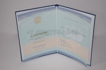 Диплом Колледжа 2022г СпецБланк в Пскове